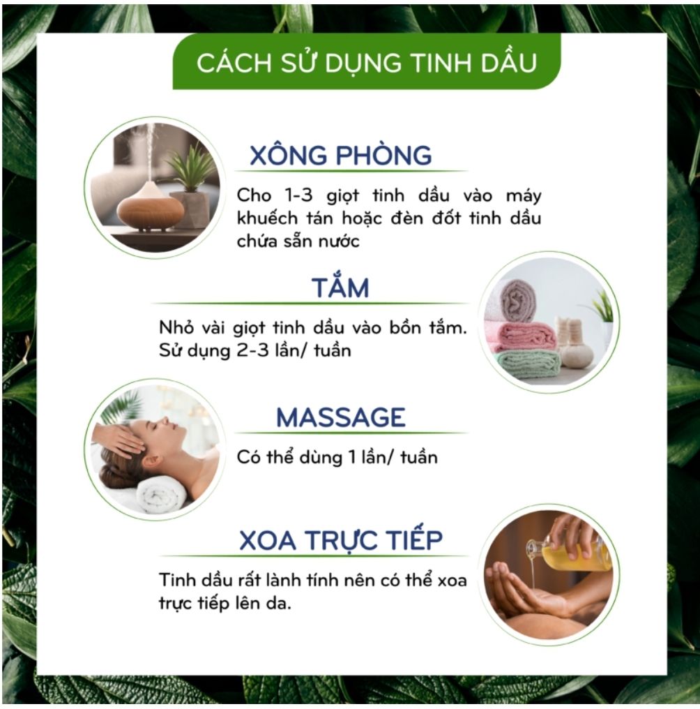 Tinh dầu Hoa Nhài 10ml Ecocare