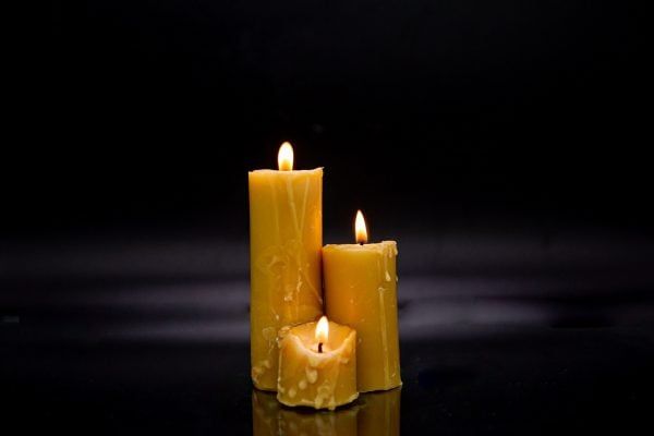 Nến Sáp ong – Cây – Nhà Thơm