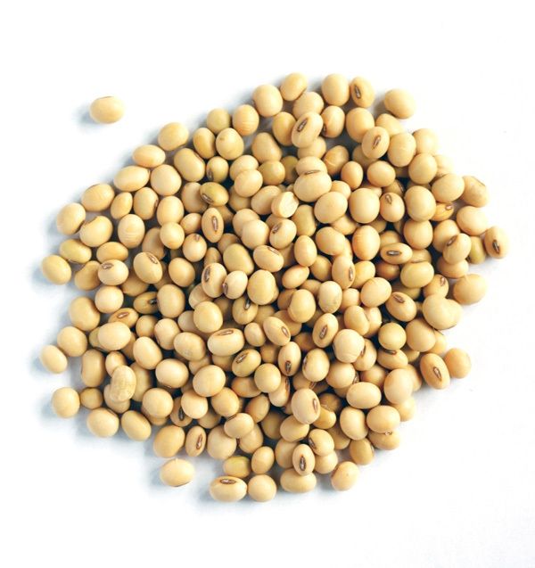 Đậu nành 500g
