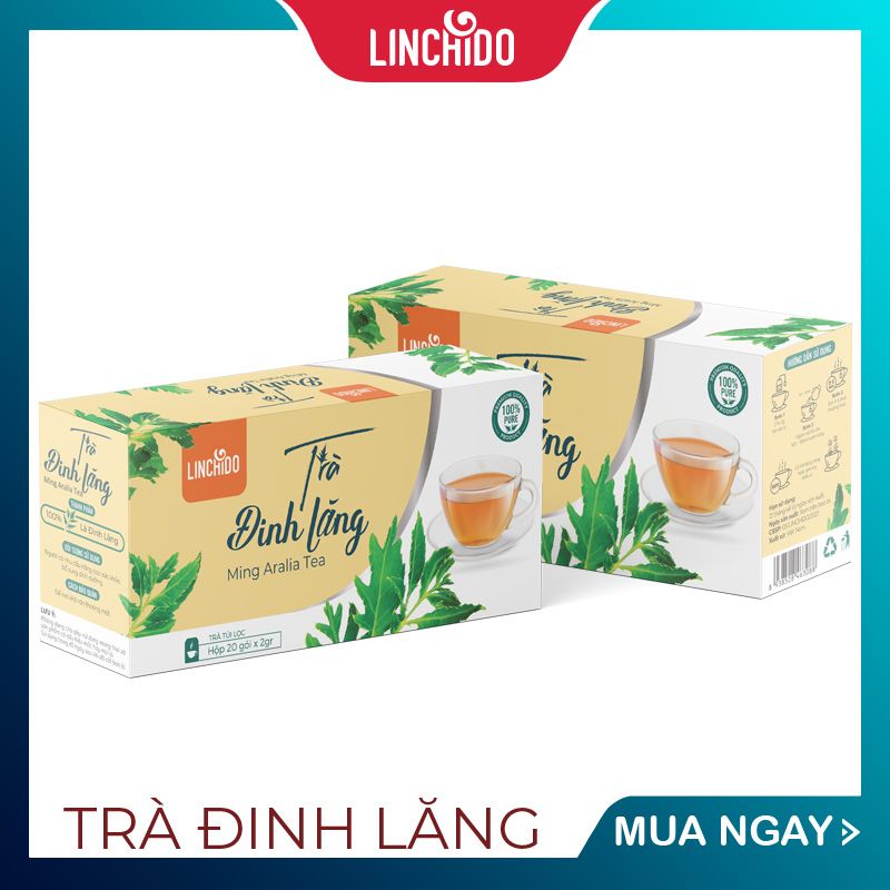 Trà Đinh Lăng Túi Lọc ( Hộp 20 túi )