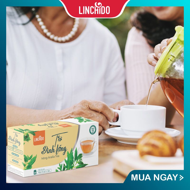 Trà Đinh Lăng Túi Lọc ( Hộp 20 túi )