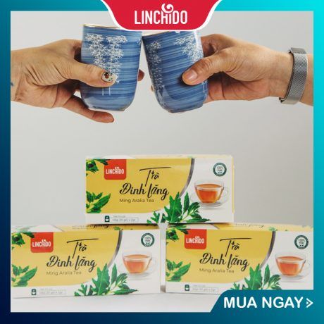 Trà Đinh Lăng Túi Lọc ( Hộp 20 túi )