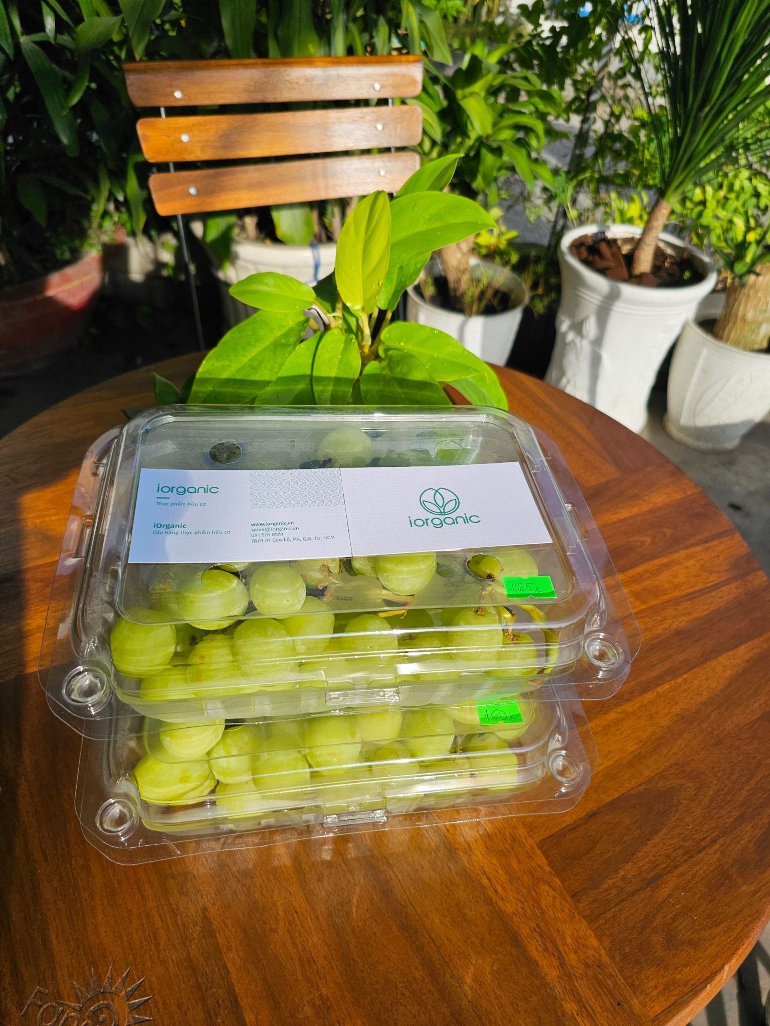 Nho xanh Mỹ Stella Bella hộp 700g