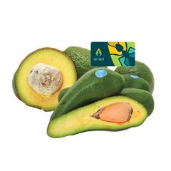 Avocado