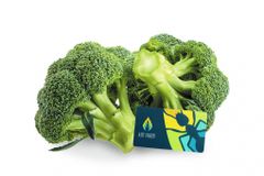 Broccoli 325g