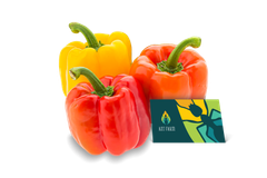 Korean Bell Pepper