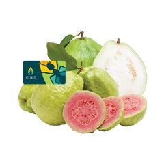 Guava