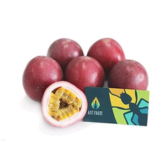 Passion fruit