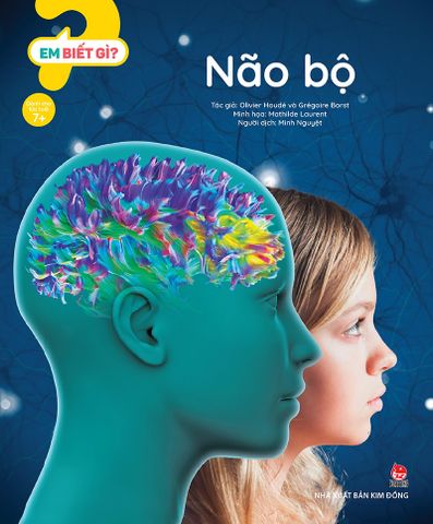 Em biết gì ? - Não bộ