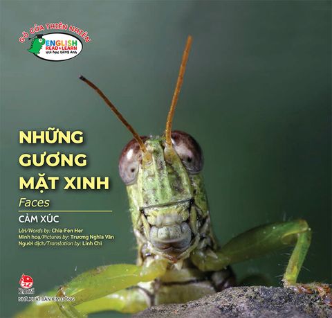 Gõ cửa thiên nhiên - Những gương mặt xinh - Faces