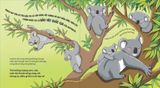 Thế giới động vật - Gấu Koala biết chơi đàn ghi-ta không ?