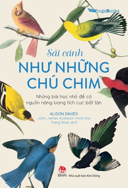 Sải cánh như những chú chim
