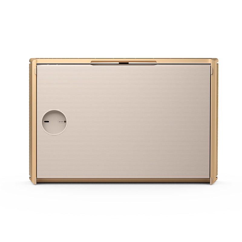 Loa di động B&O Beosound Level - Loa Bang & Olufsen chính hãng