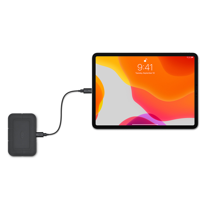 Ổ Cứng Di Động SSD LaCie Rugged Pro Thunderbolt 3 Rescue - 1TB - STHZ1000800