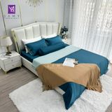  Bộ Chăn Ga Lụa Tencel Coolsilk TCS2607 