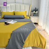  Bộ Chăn Ga Lụa Tencel Coolsilk TCS2606 