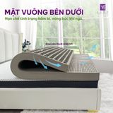  Nệm Cao su Thiên nhiên Samy Nanolatex 