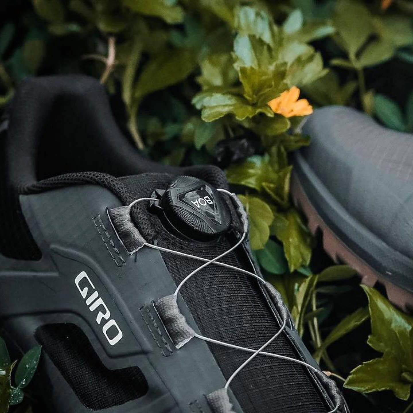Giày Xe Đạp Địa Hình/ Gym | Gauge BOA