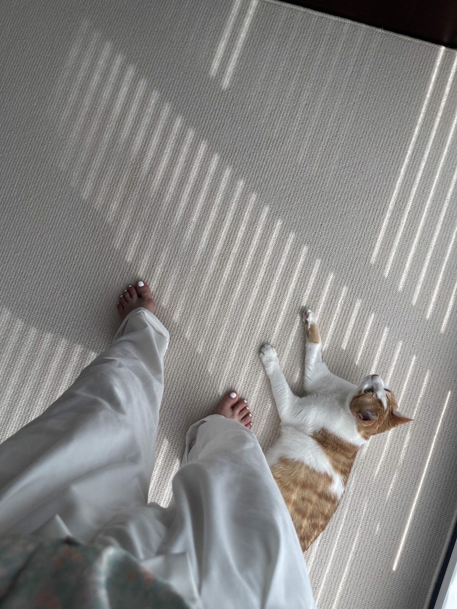 100% Wool Off White Rug