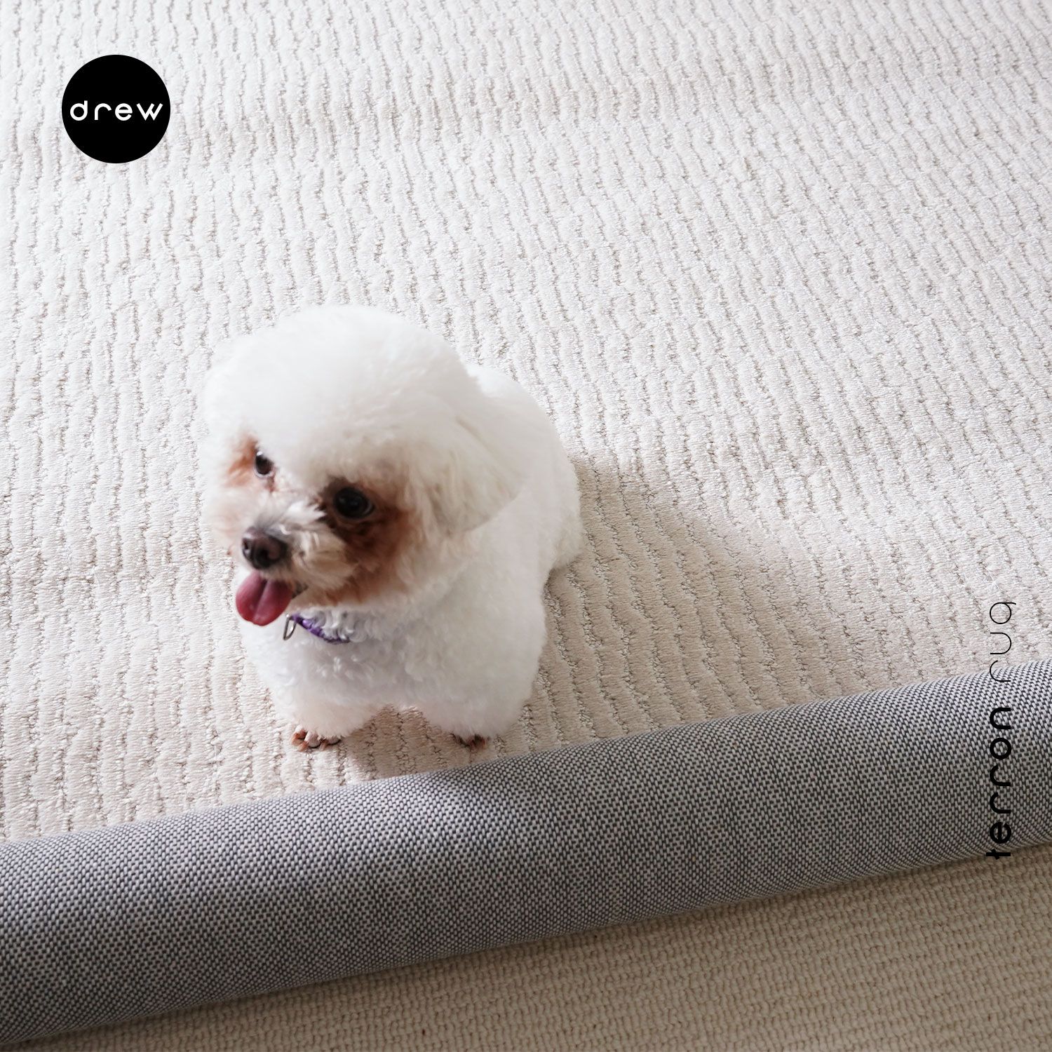 Terron Rug