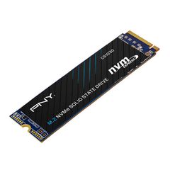 SSD PNY 256GB CS1031 1700MB/S (CHUẨN M2-NVME)