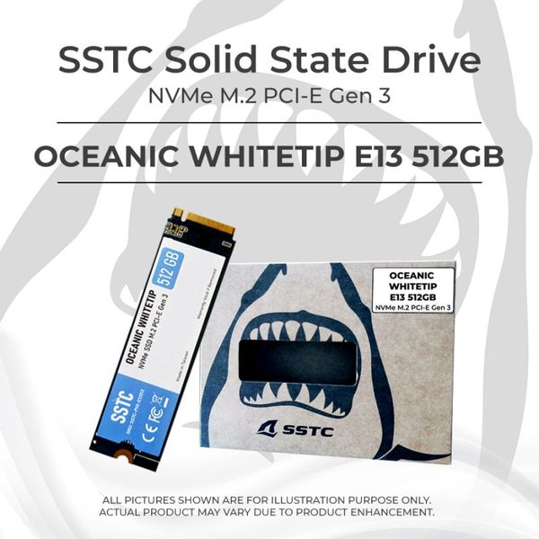 Ổ cứng SSD SSTC 512GB NVMe Gen 3 3x4