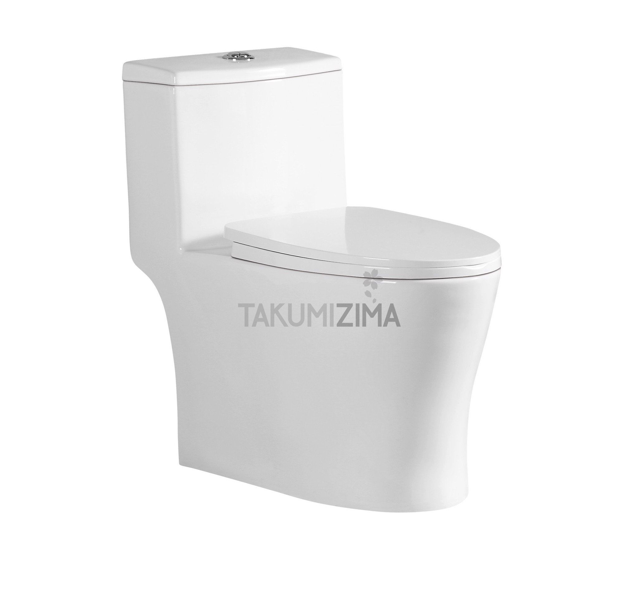 One-Piece Toilet Tkm-101