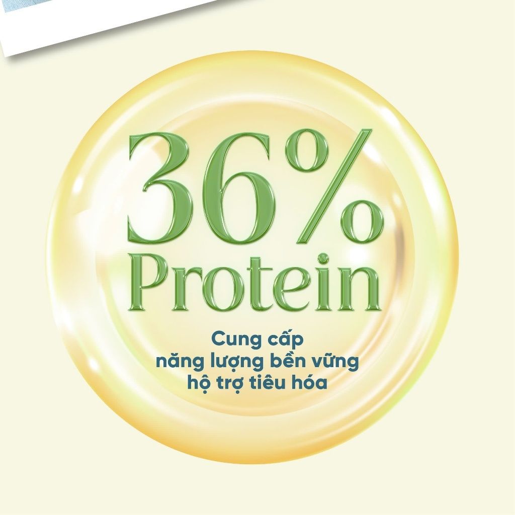Combo Trải Nghiệm Gói Sữa Hạt Cao Cấp Forganic - (Đa Dưỡng Chất + Bữa Ăn Thay Thế)