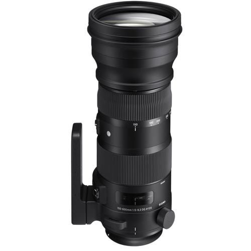 Sigma 150-600mm f/5-6.3 DG OS HSM Sports for Canon (Mới 95%)