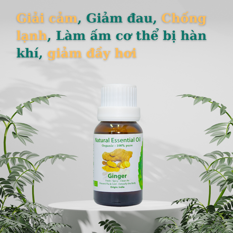 Tinh Dầu Thiên Nhiên Gừng - Ginger Essential Oil - tinh dầu xông nhà, tinh dầu thơm nhà