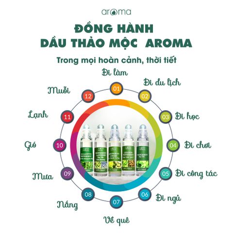 DẦU THẢO MỘC AROMA BẠC HÀ – DẦU NÓNG – DẦU GIÓ THƠM  - DẦU XOA BÓP