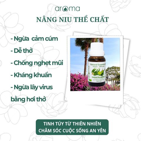 TINH DẦU THƠM TREO XE, TREO TỦ ÁO, TREO NHÀ TẮM Chanh bạc hà   Thơm mát, khử mùi xăng xe, mùi ẩm mốc, sạch không khí, dễ chịu, thư giãn.