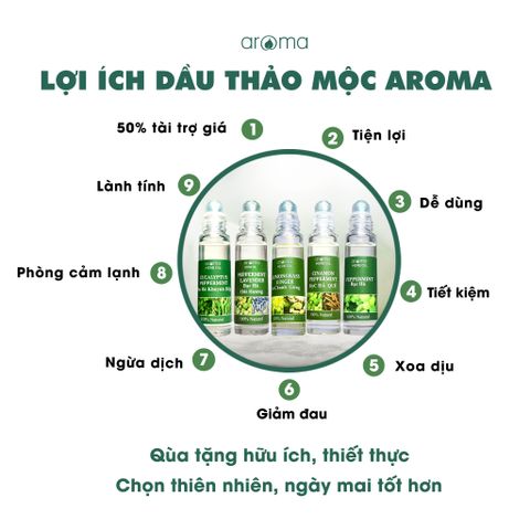 DẦU THẢO MỘC AROMA BẠC HÀ – DẦU NÓNG – DẦU GIÓ THƠM  - DẦU XOA BÓP