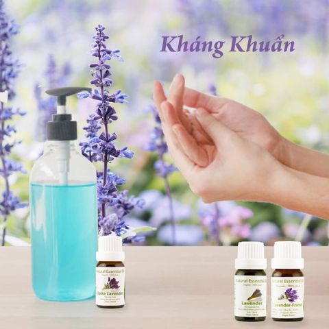 Tinh Dầu Thiên Nhiên Oải Hương Pháp - Spike Lavender Essential Oil - Tinh dầu oải hương - Tinh dầu hương thảo, tinh dầu xông nhà, tinh dầu thơm nhà