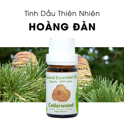 Tinh Dầu Thiên Nhiên Hoàng Đàn - Cedarwood Essential Oil - Tuyết tùng - tinh dầu xông nhà, tinh dầu thơm nhà