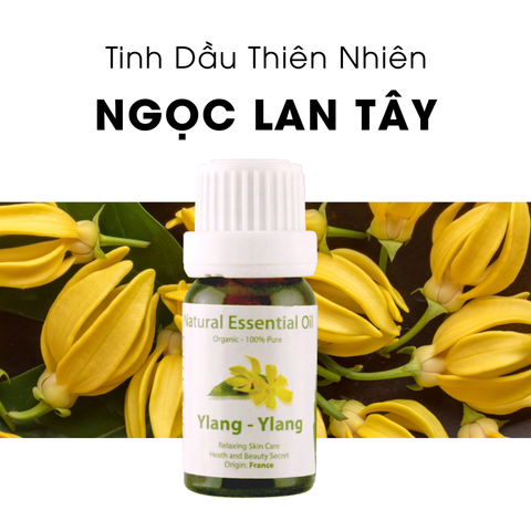 Tinh Dầu Thiên Nhiên Ngọc Lan Tây - Ylang Ylang Essential Oil - tinh dầu xông nhà, tinh dầu thơm nhà