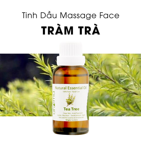 Tinh dầu trị mụn Tràm trà - Tea Tree Facial Oil - Tinh dầu tràm trà, tinh dầu xông nhà, tinh dầu thơm nhà