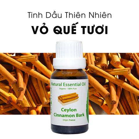 Tinh Dầu Thiên Nhiên Quế Tươi - Ceylon Cinnamon Bark Essential Oil - tinh dầu xông nhà, tinh dầu thơm nhà