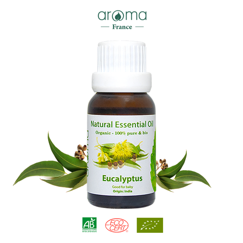 Tinh Dầu Thiên Nhiên Khuynh diệp - Eucalyptus Essential Oil - tinh dầu xông nhà, tinh dầu thơm nhà