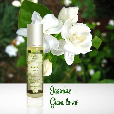 Lăn tinh dầu thiên nhiên Hoa lài - Jasmine Roll On - Dầu thảo mộc - Nước hoa thiên nhiên 100%