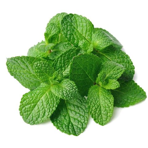 Tinh Dầu Hữu Cơ Bạc Hà Pháp - Eco Peppermint Essential Oil - Tinh dầu bạc hà, tinh dầu xông nhà, tinh dầu thơm nhà