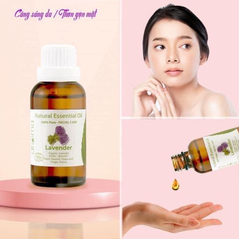 Tinh Dầu Hữu Cơ Oải Hương Tươi - Eco True Lavender Essential Oil - tinh dầu xông nhà, tinh dầu thơm nhà