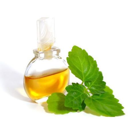 Tinh dầu Hoắc Hương - Bán sỹ sản xuất Aromatherapy - Patchouli Essential Oil, tinh dầu xông nhà, tinh dầu thơm nhà