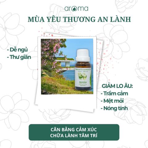 Tinh Dầu Thiên Nhiên Bạc Hà Lá Dài - Spearmint Essential Oil - Tinh dầu bạc hà, tinh dầu xông nhà, tinh dầu thơm nhà