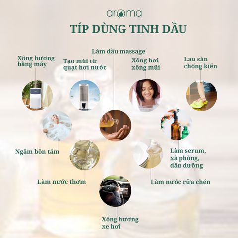 Tinh Dầu Thiên Nhiên Lài 25/75 - Jasmine Essential Oil - tinh dầu xông nhà, tinh dầu thơm nhà