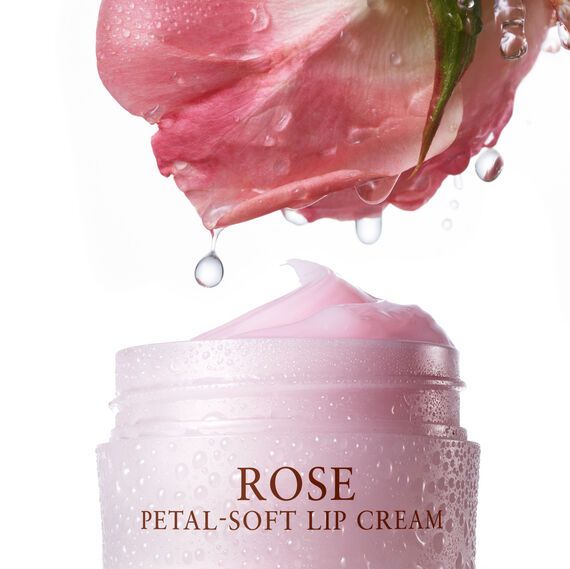 Dưỡng Môi Hoa Hồng Rose Deep Hydration Petal Soft Lip Balm Fresh