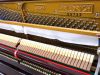 Piano Friedrich F104