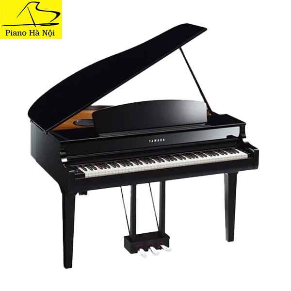 Piano Yamaha CLP 555 – Piano Hà Nội