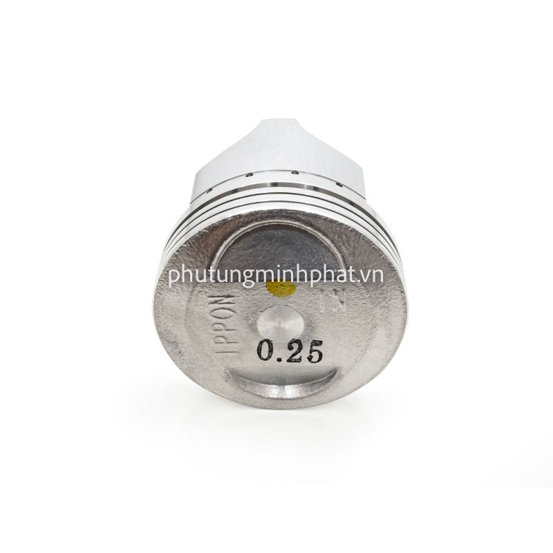 Piston Ippon 54 vớt độ 12,5