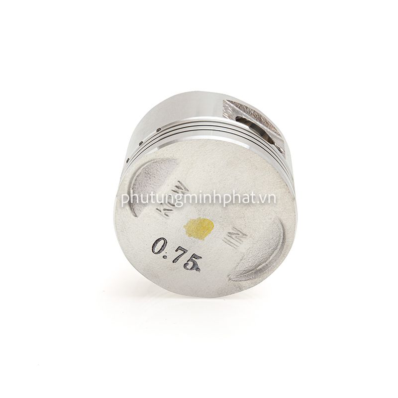 Piston Ippon Spacy
